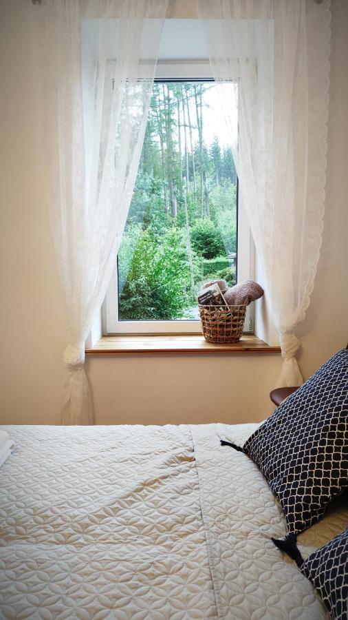바우브자이치 B&D Apartament Chelmiec 아파트 외부 사진